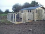 Dog Run at side of wooden shed.JPG