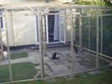 Cats & Dogs together safely in our large enclosure
